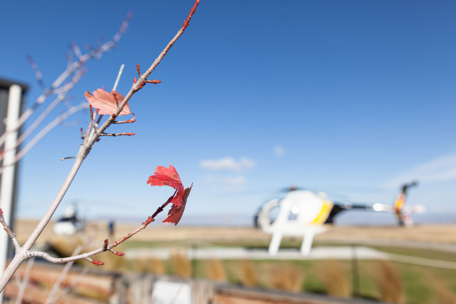 new zealand wedding helicopter