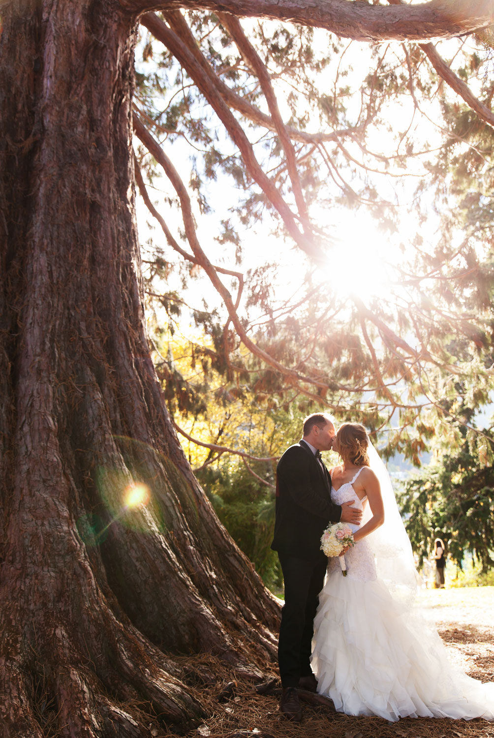 destination wedding couple kissing by tree sun burst