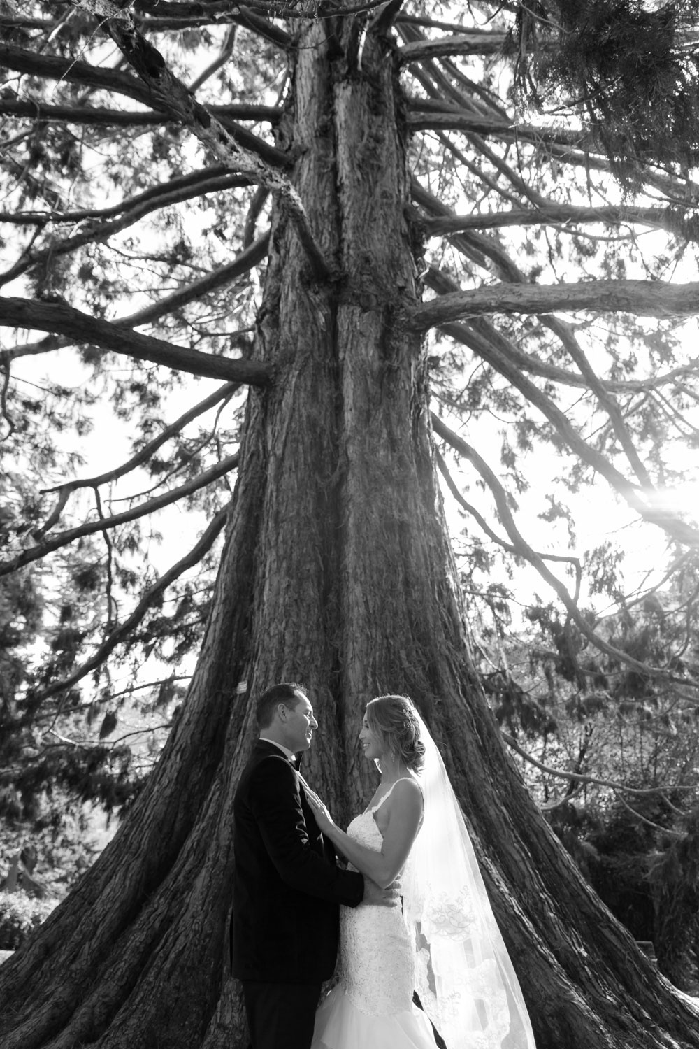 queenstown wedding couple holding hands by tree