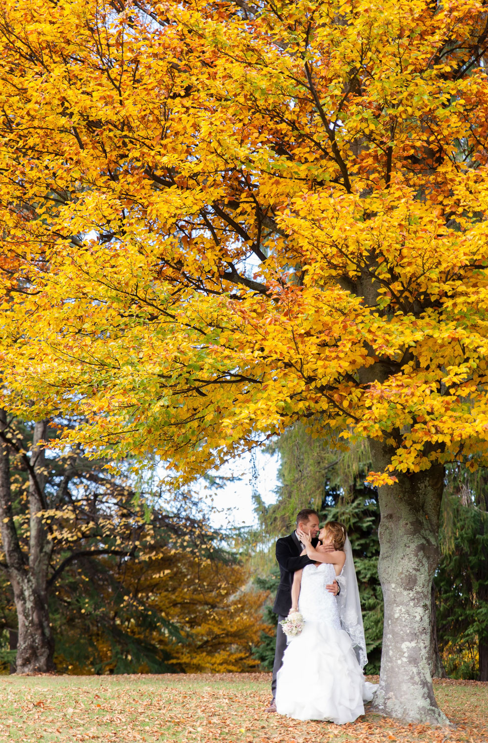destination wedding couple standing under autumn tree