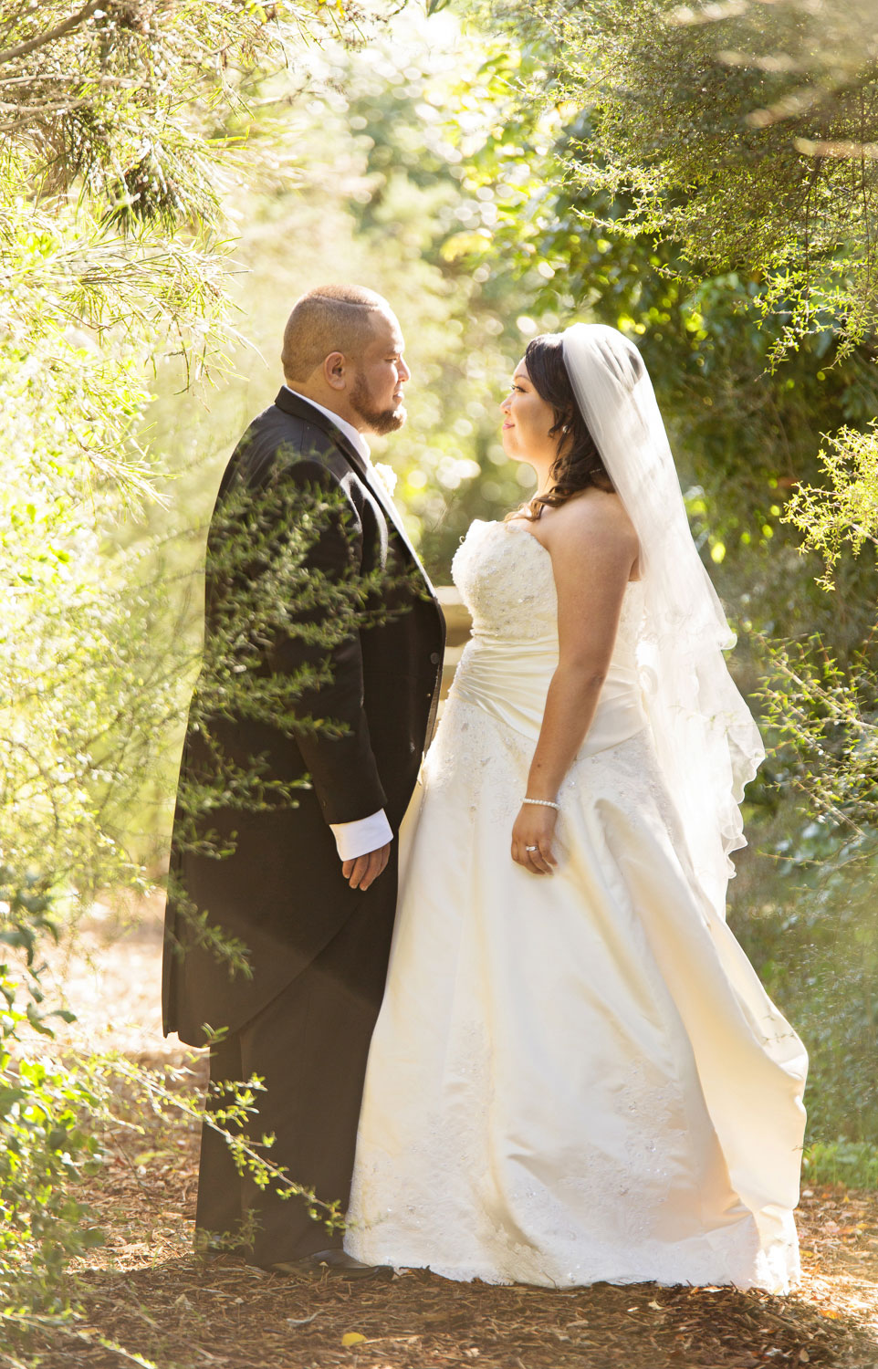 auckland botanic gardens wedding couple in a walkway