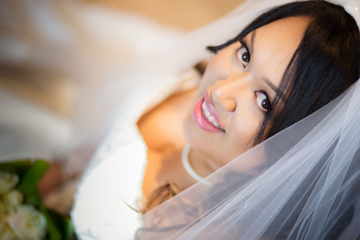 auckland botanic gardens wedding bridal portrait