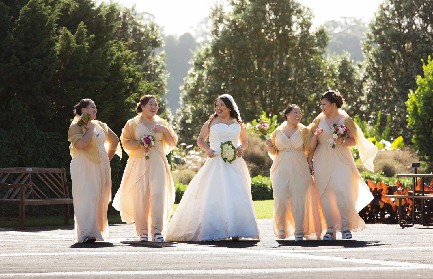 auckland botanic gardens wedding bridal party photos