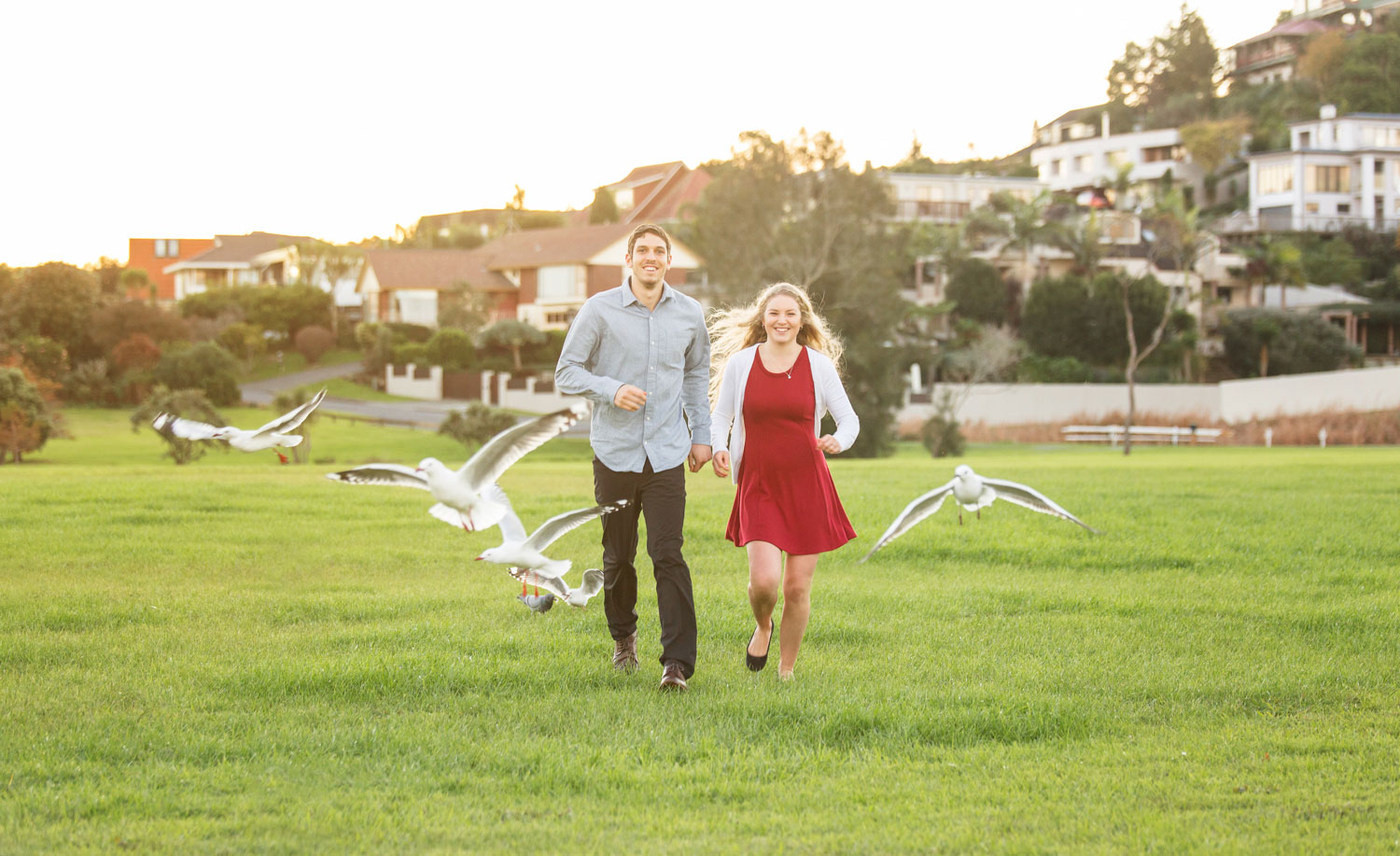 auckland engagement photo couple and seagulls