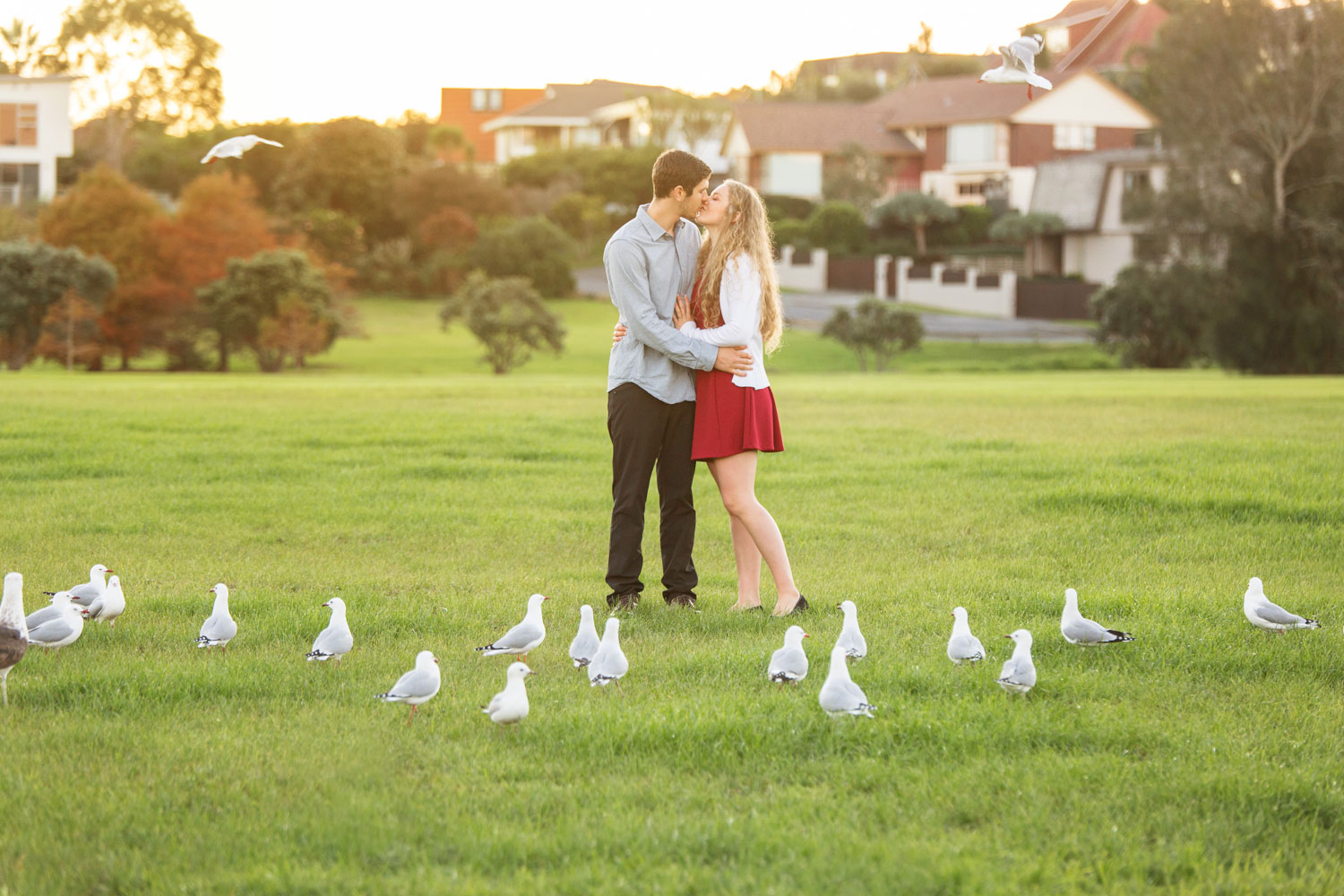 auckland engagement photo couple kissing among seagulls