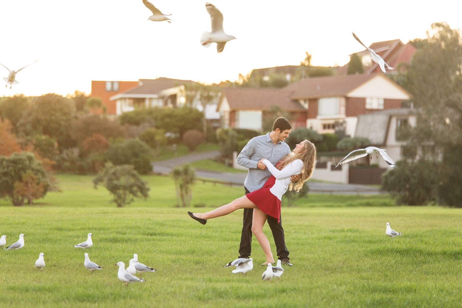 auckland engagement photo couple dipping among birds