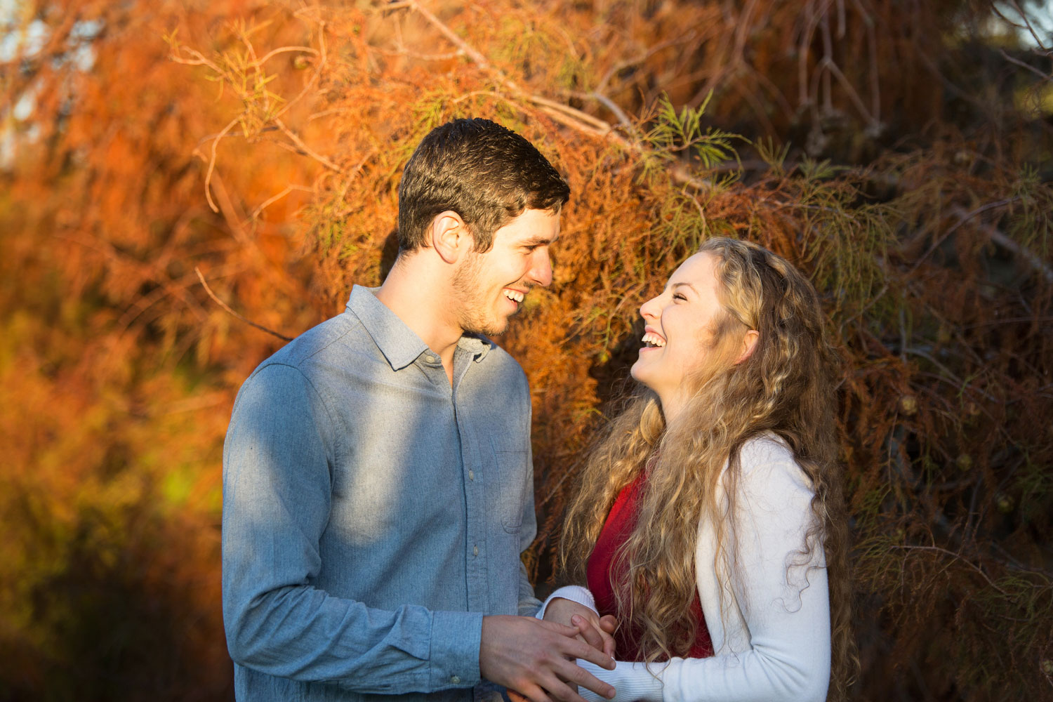auckland engagement photo couple laughing