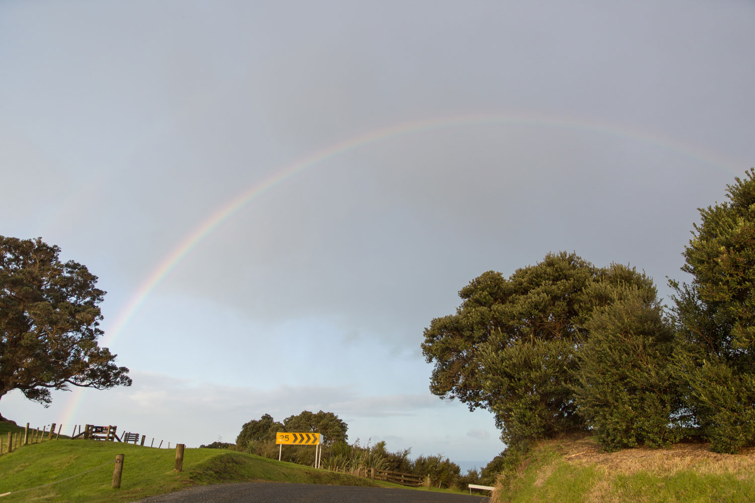 auckland engagement photo rainbow landscape