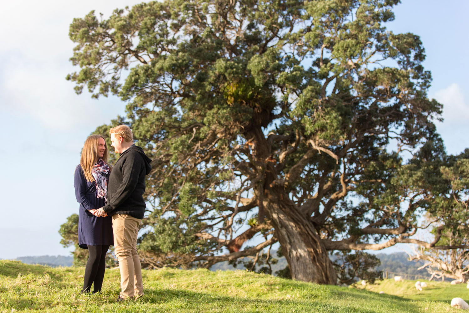 auckland engagement photo couple embracing by tree
