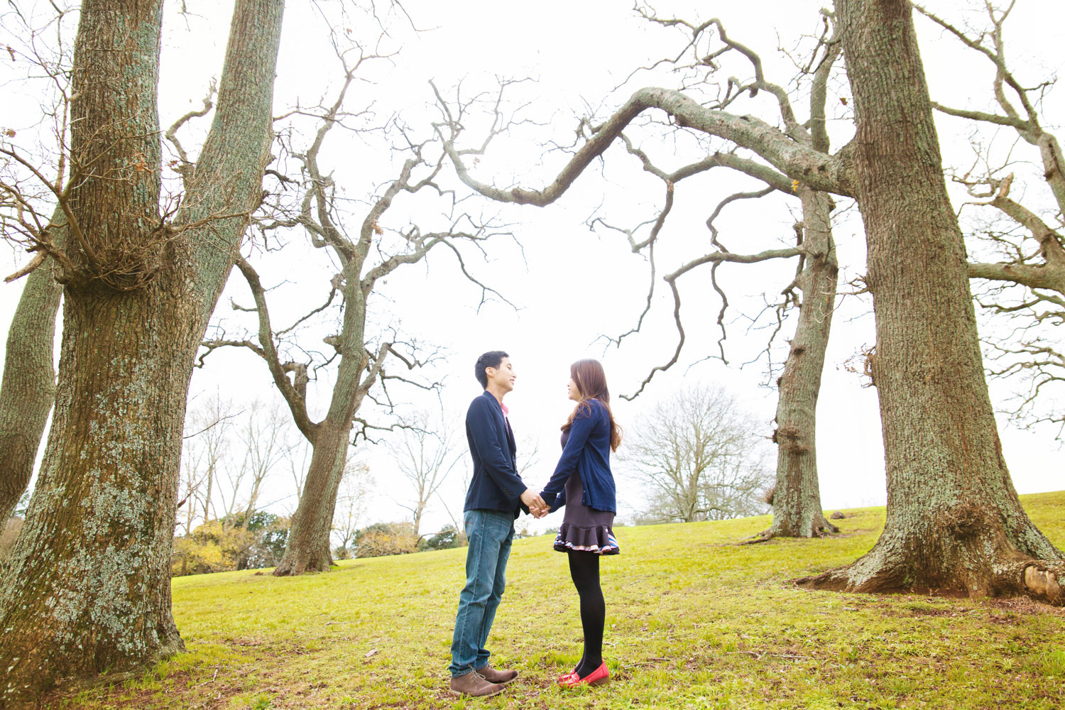 auckland engagement session couple among trees