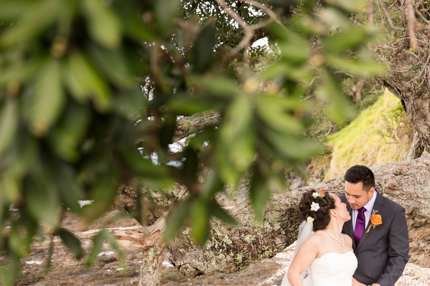 auckland maraetai wedding couple kissing under tree