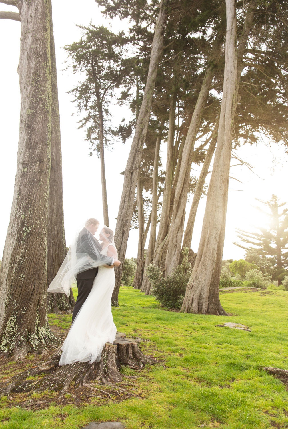 auckland wedding bride and groom near gum trees