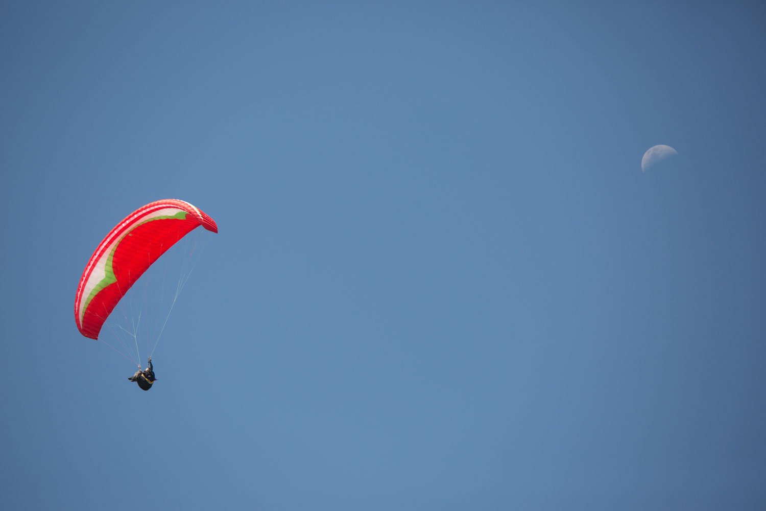 auckland castaways resort paraglider