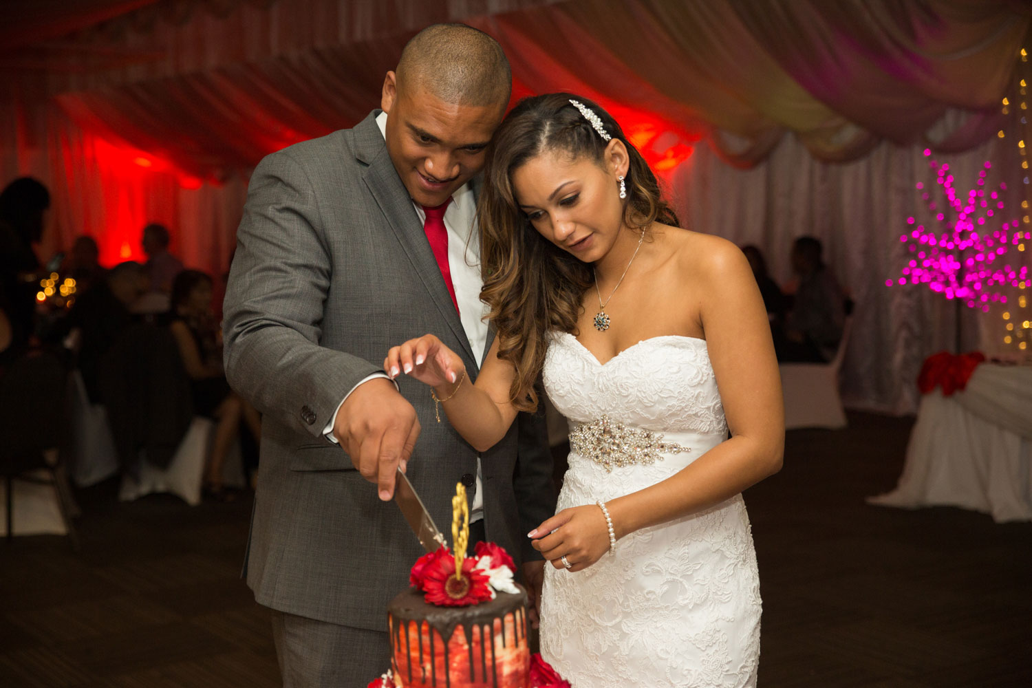 auckland wedding reception couple cutting the cake