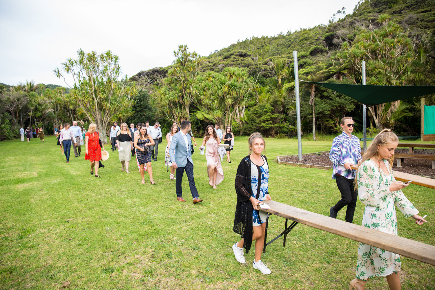 auckland wedding guests carrying benches