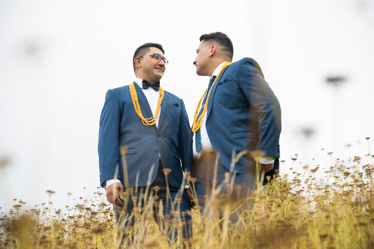 auckland wedding couple standing among grass