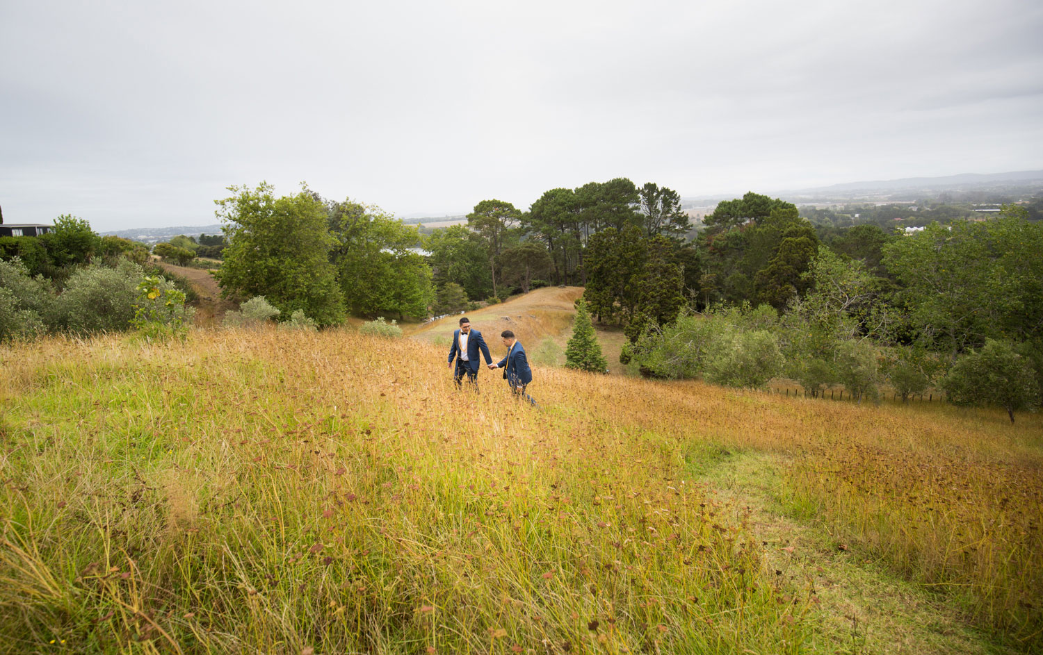 auckland wedding couple walking among tall grass