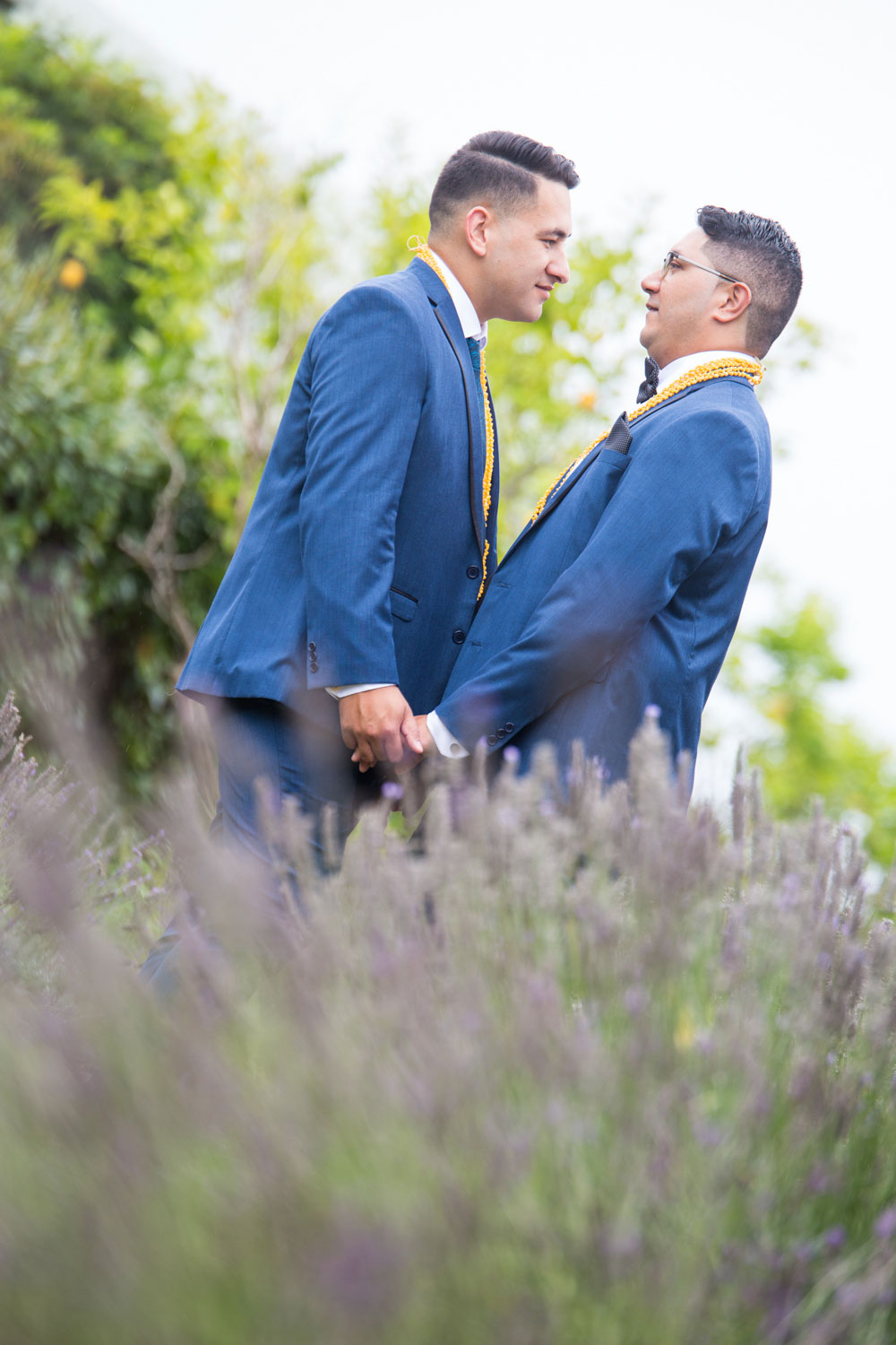 auckland wedding couple in lavender field