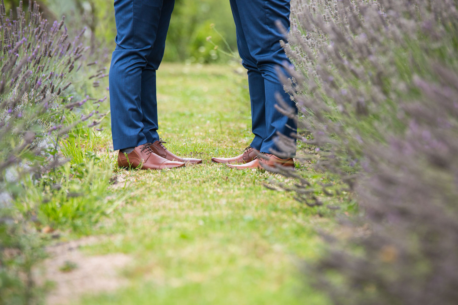 auckland wedding lavender field and wedding shoes