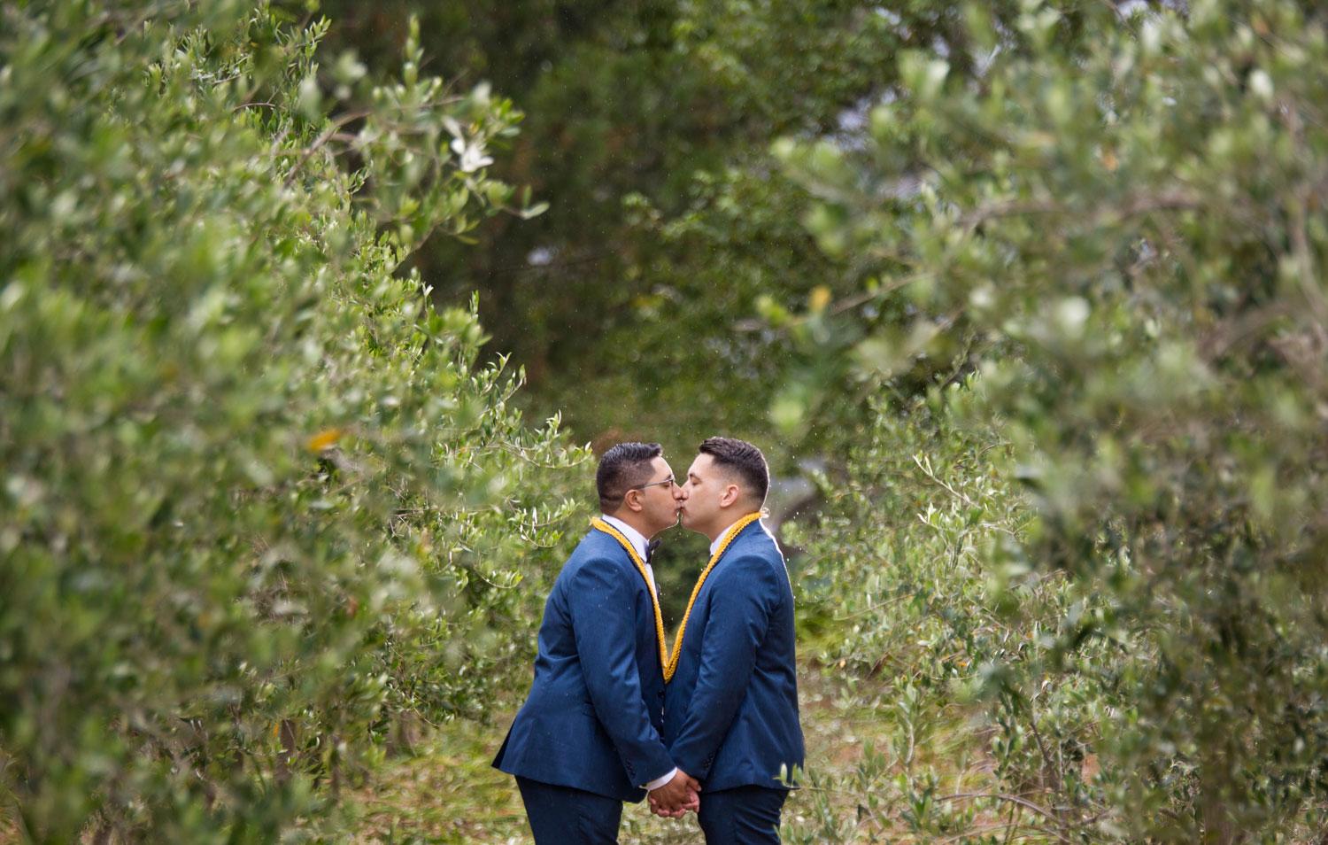 auckland wedding couple kissing in vineyard