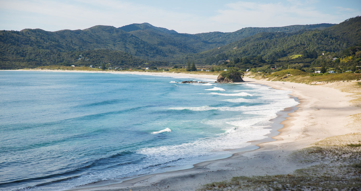 new zealand wedding great barrier island