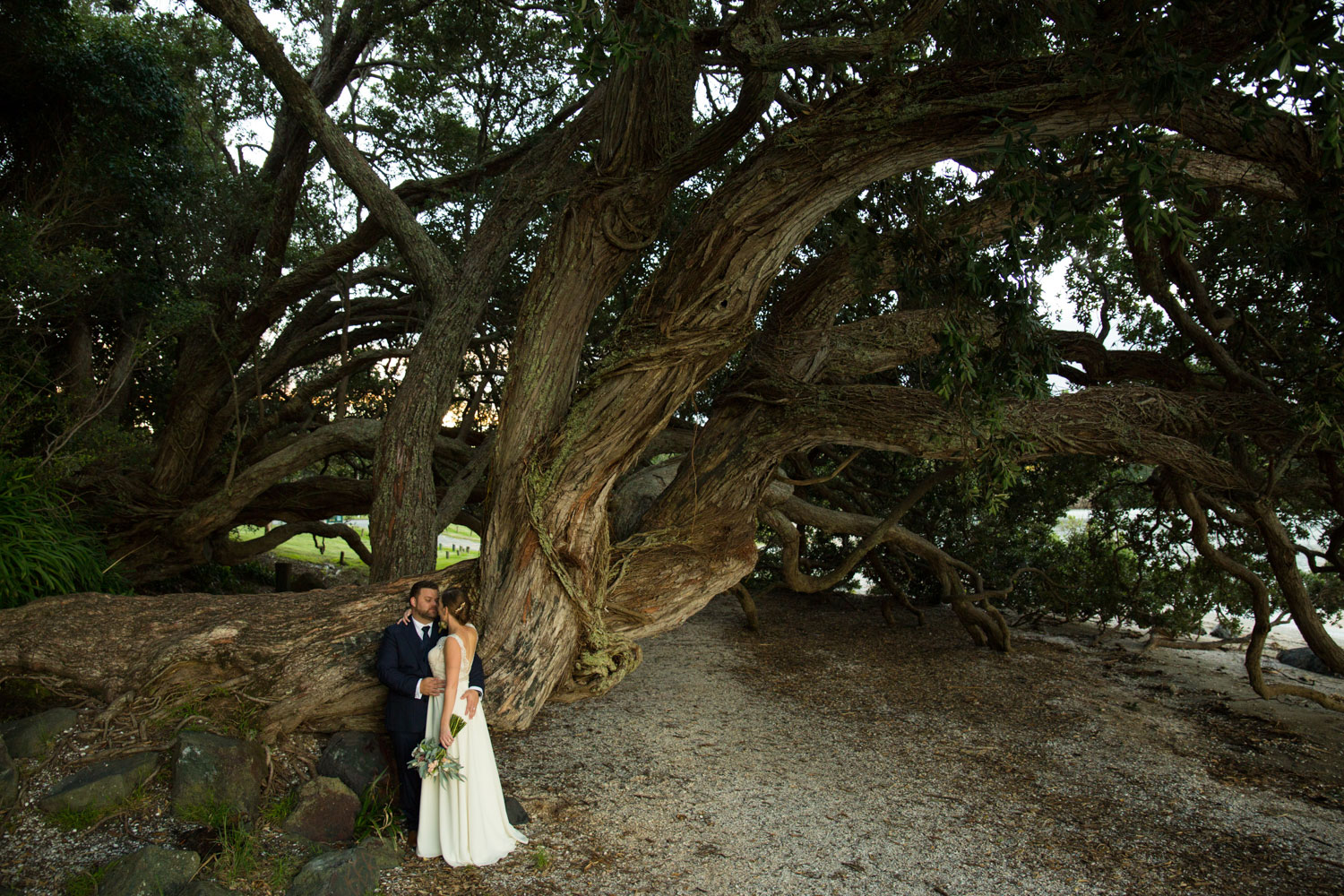 wedding photographer auckland bride and groom under a tree