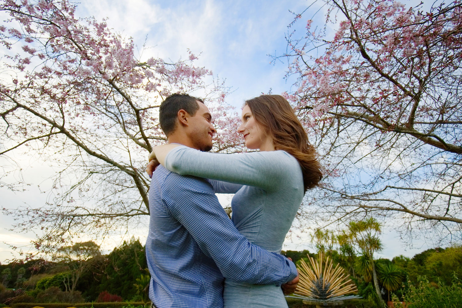 auckland botanic gardens engagement photo couple under cherry blossoms