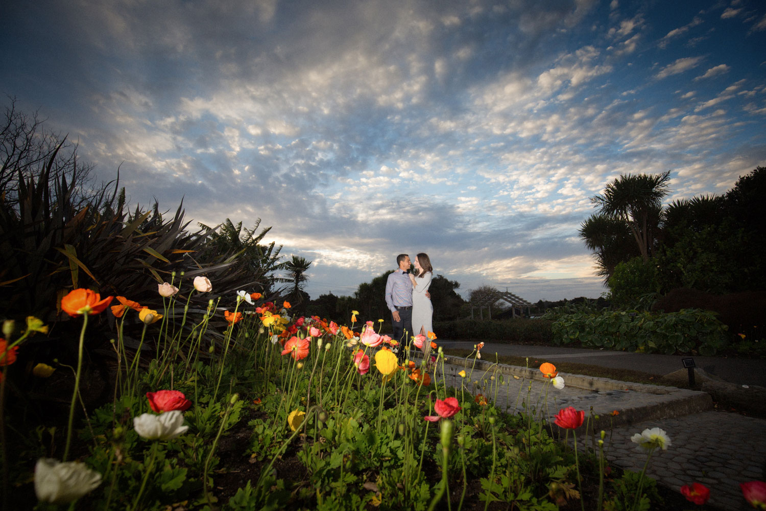auckland botanic gardens engagement photo couple and tulips