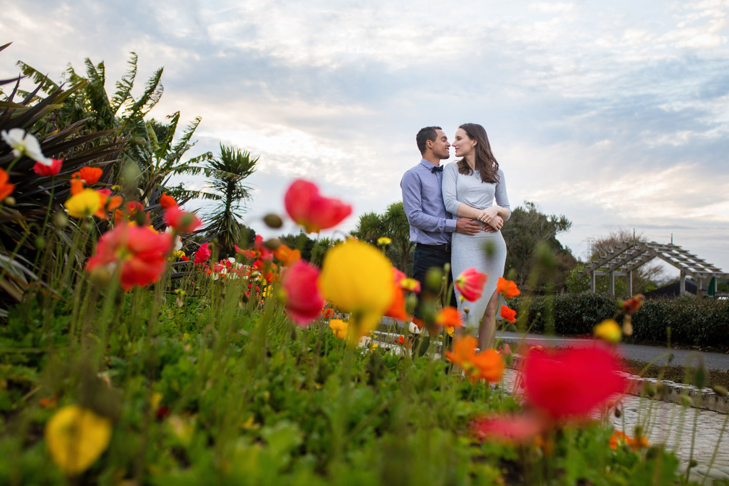auckland botanic gardens engagement photo couple behind tulips