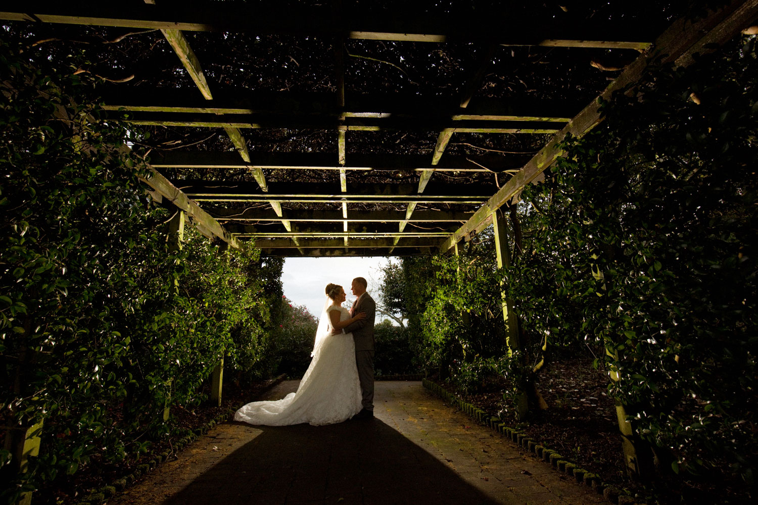 hamilton wedding couple sillhouette