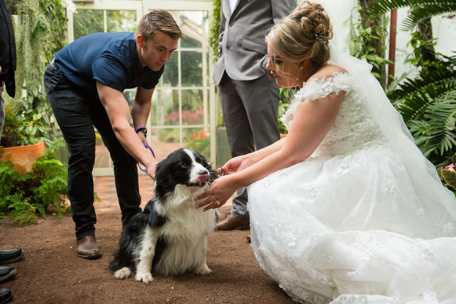 hamilton wedding at hamilton garden