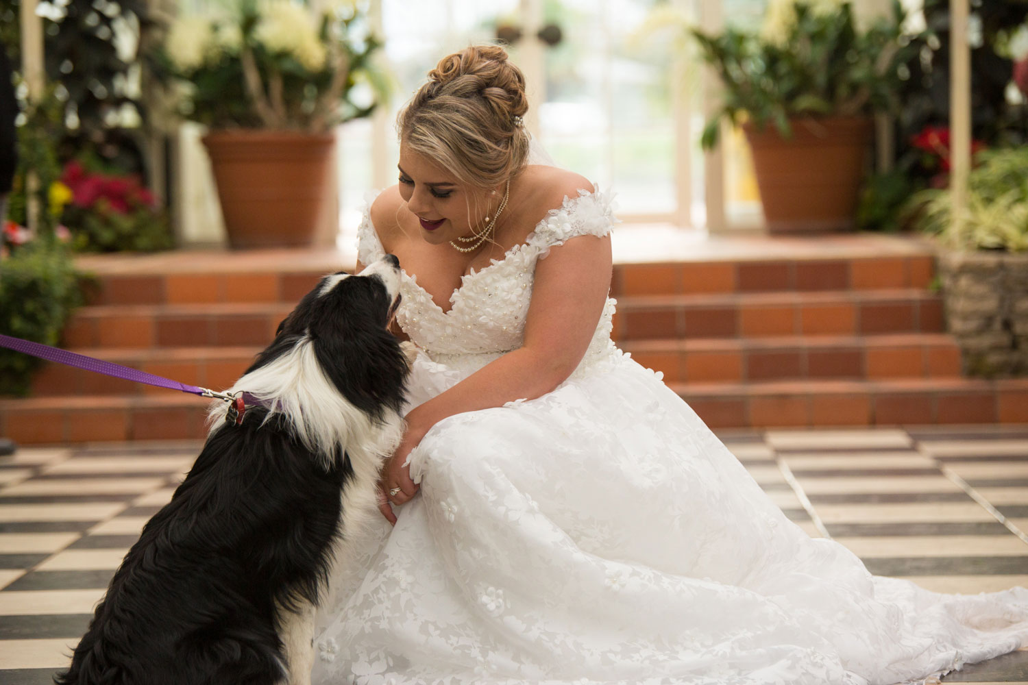 hamilton wedding bride looking at her dog