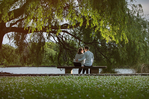auckland engagement photo western springs couple under a tree