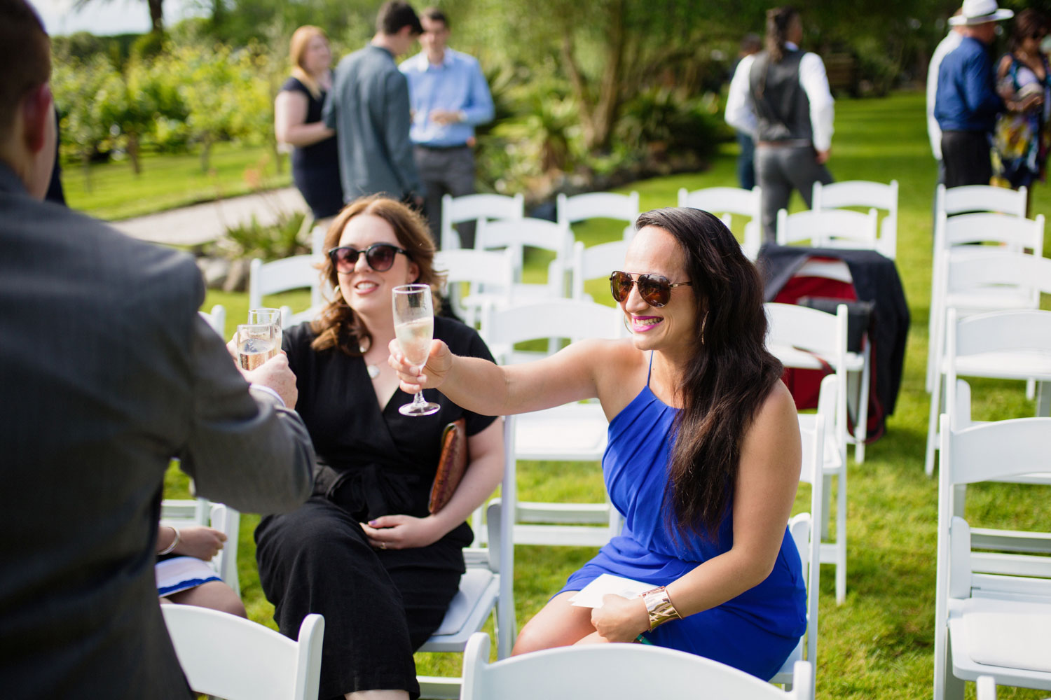 wedding guest toast