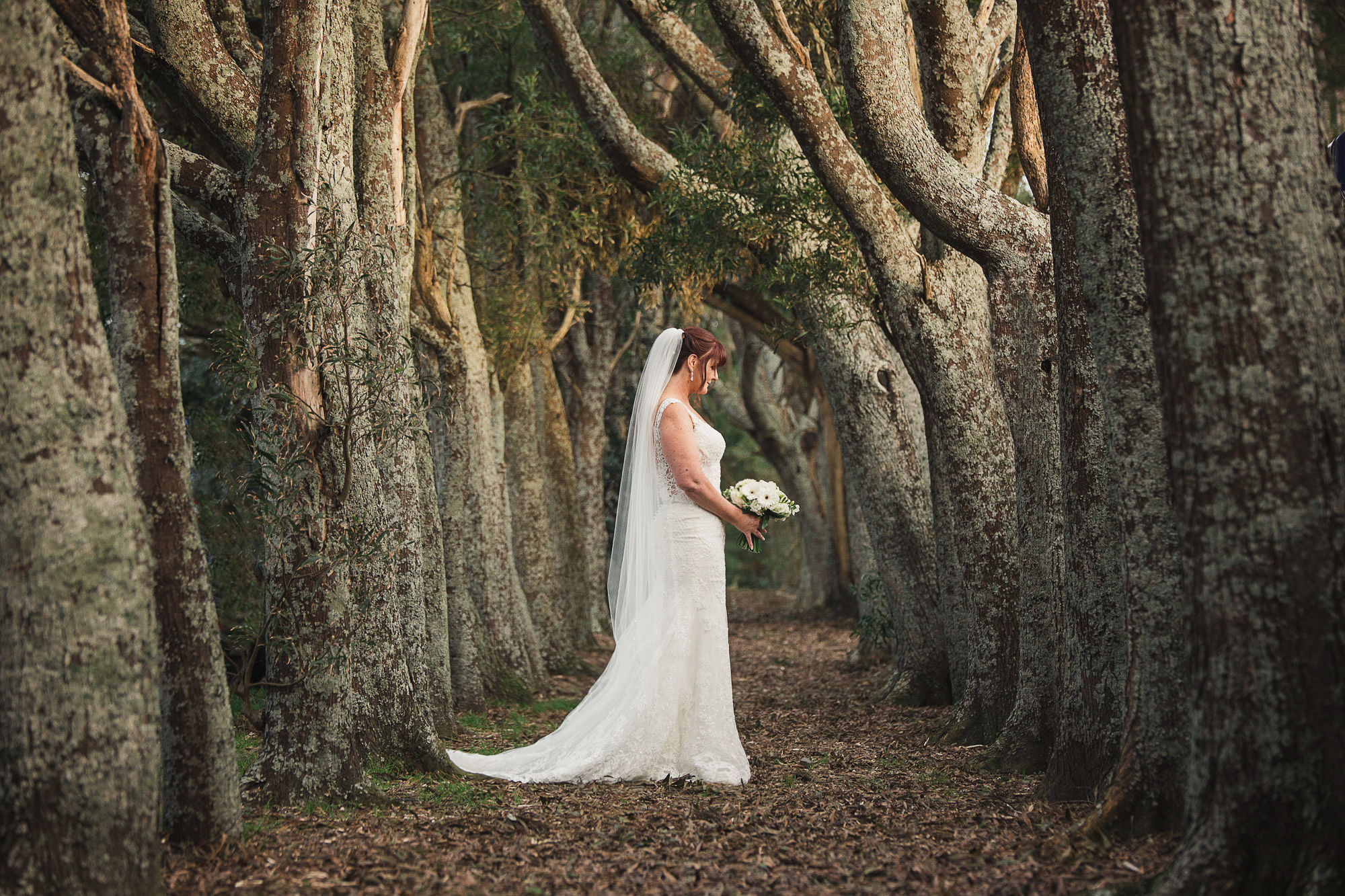 markovina bride portrait