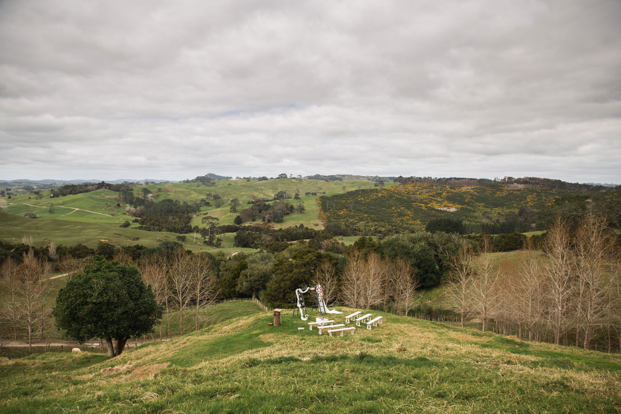 auckland backyard wedding venue