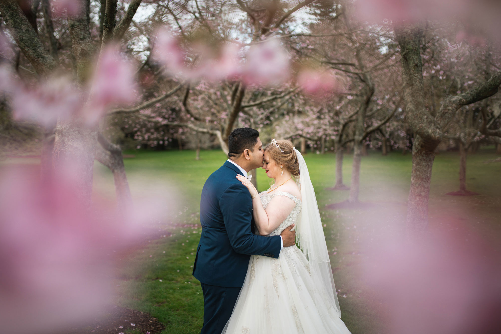 cherry blossom wedding photo