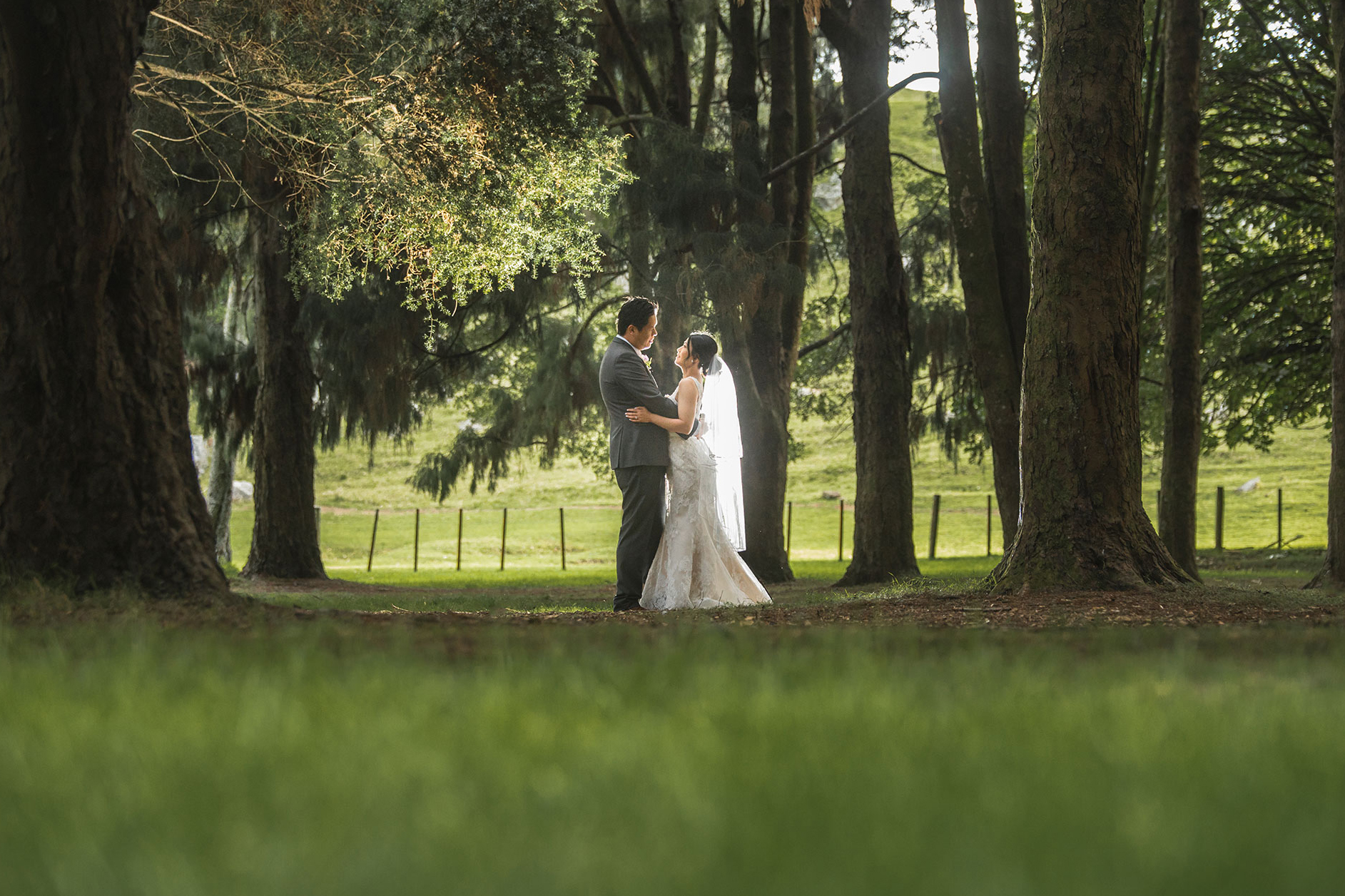 cornwall park wedding photo forest