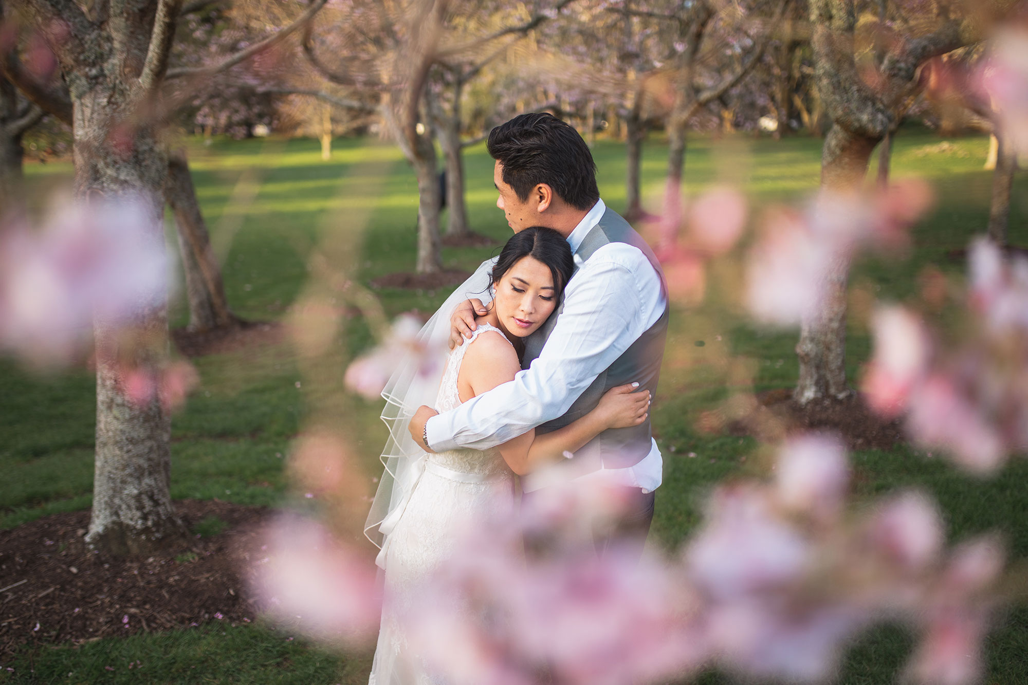 cherry blossoms wedding photo