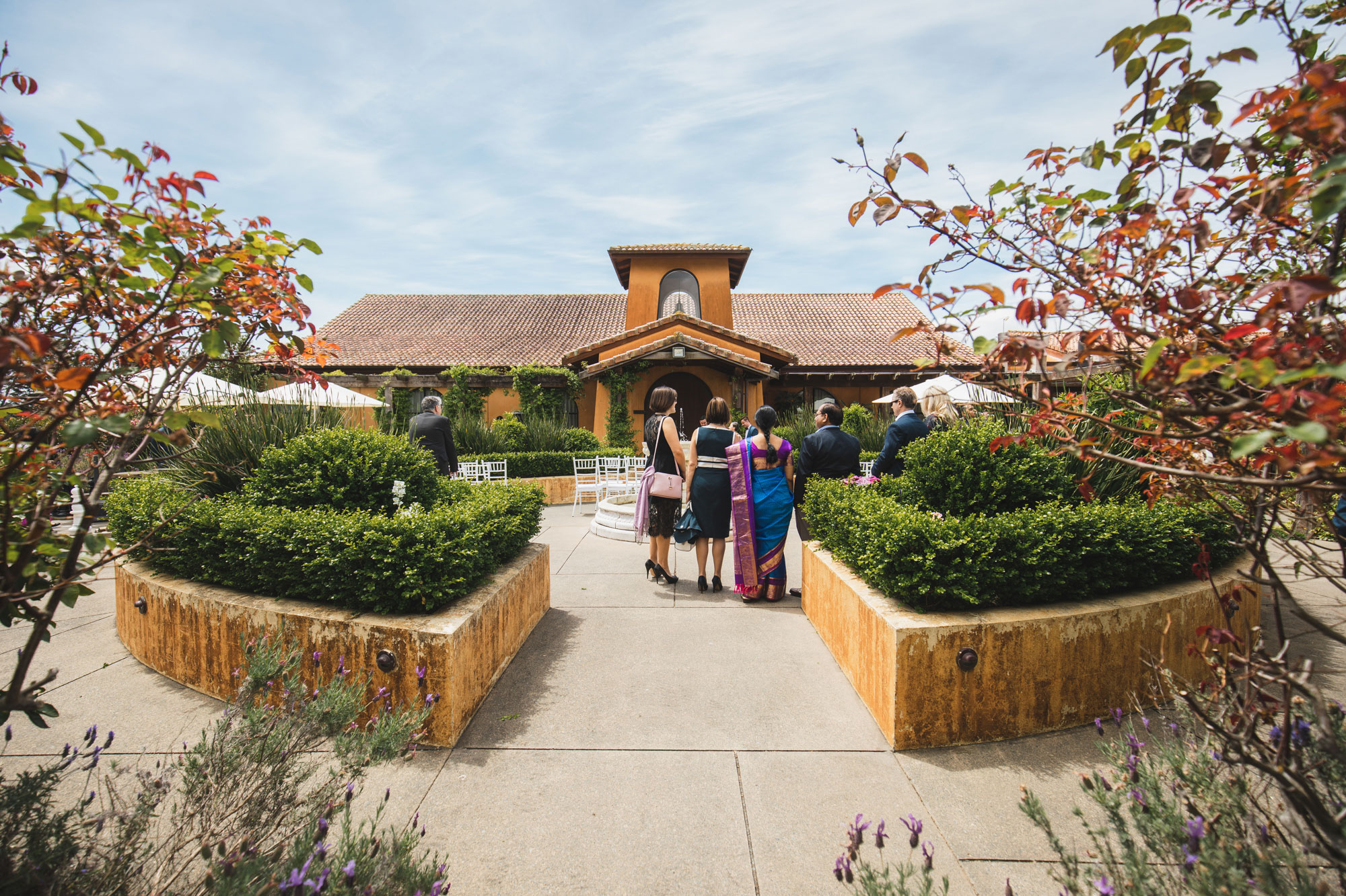 matakana ascension wine estate wedding