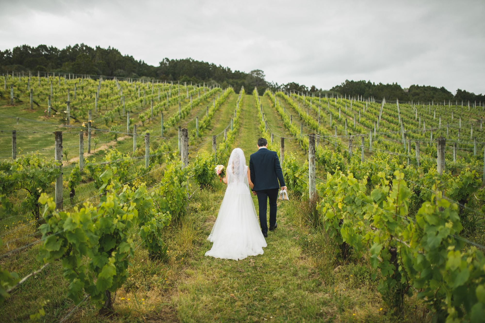ascension wine estate wedding photo
