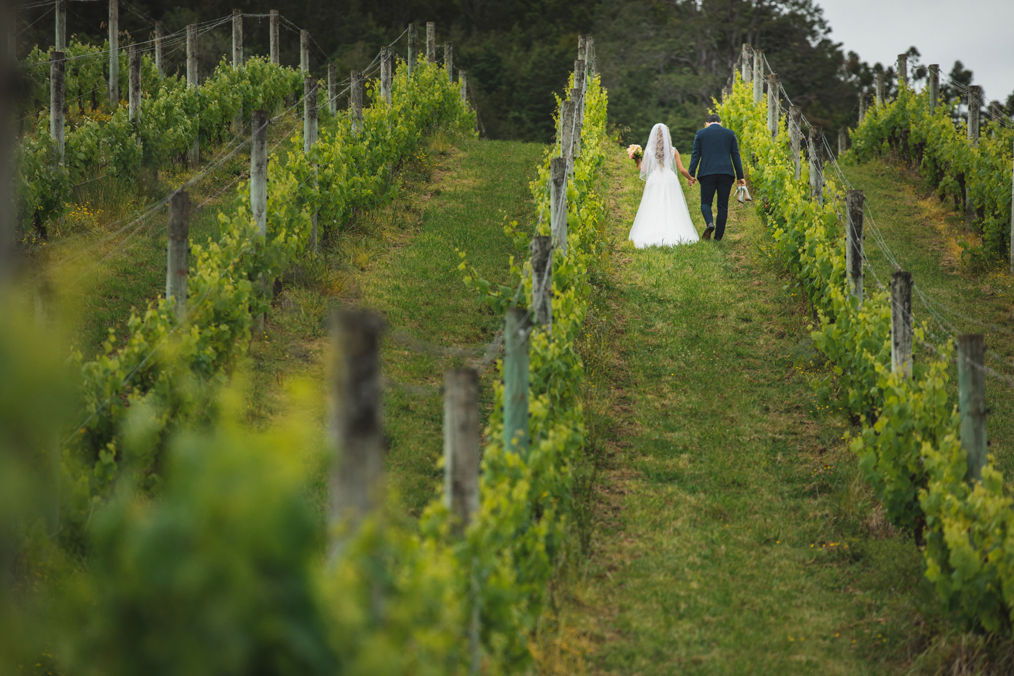 auckland vineyard wedding photo