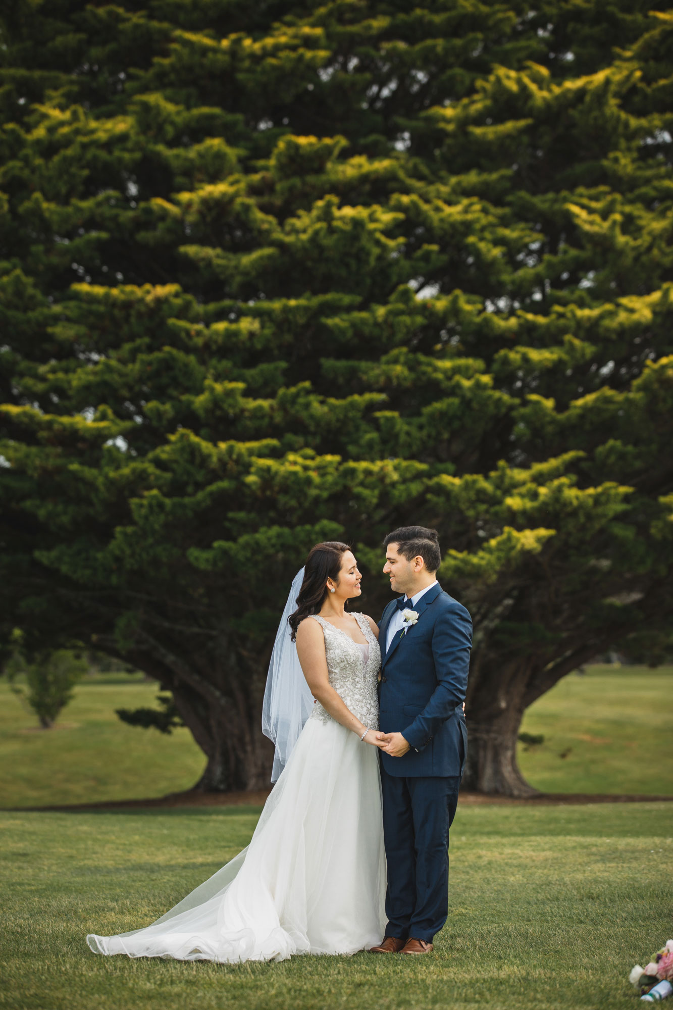 auckland wedding couple photo