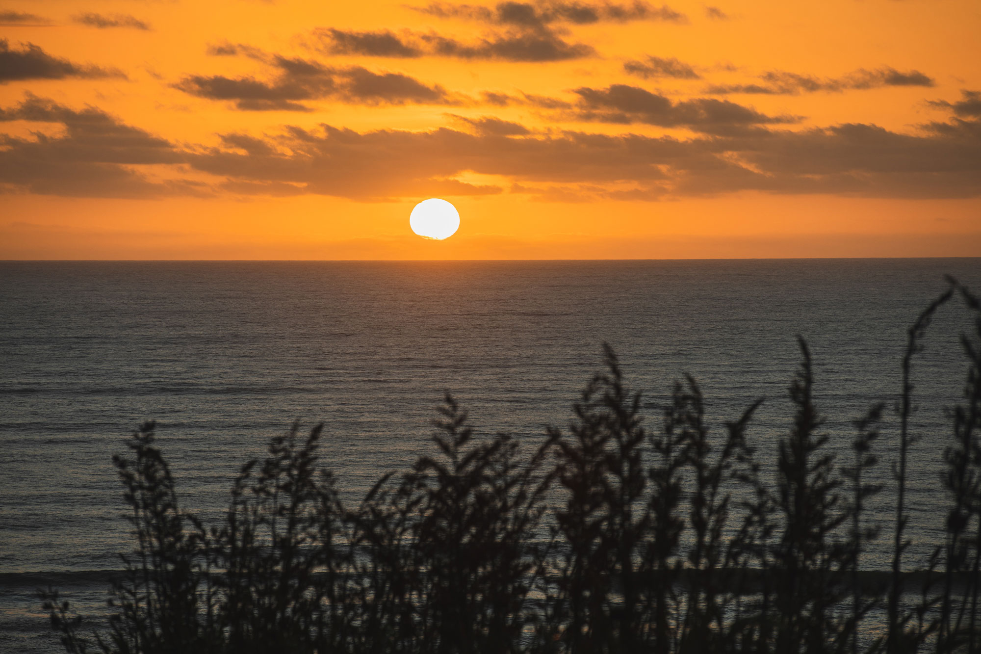 castaways resort sunset