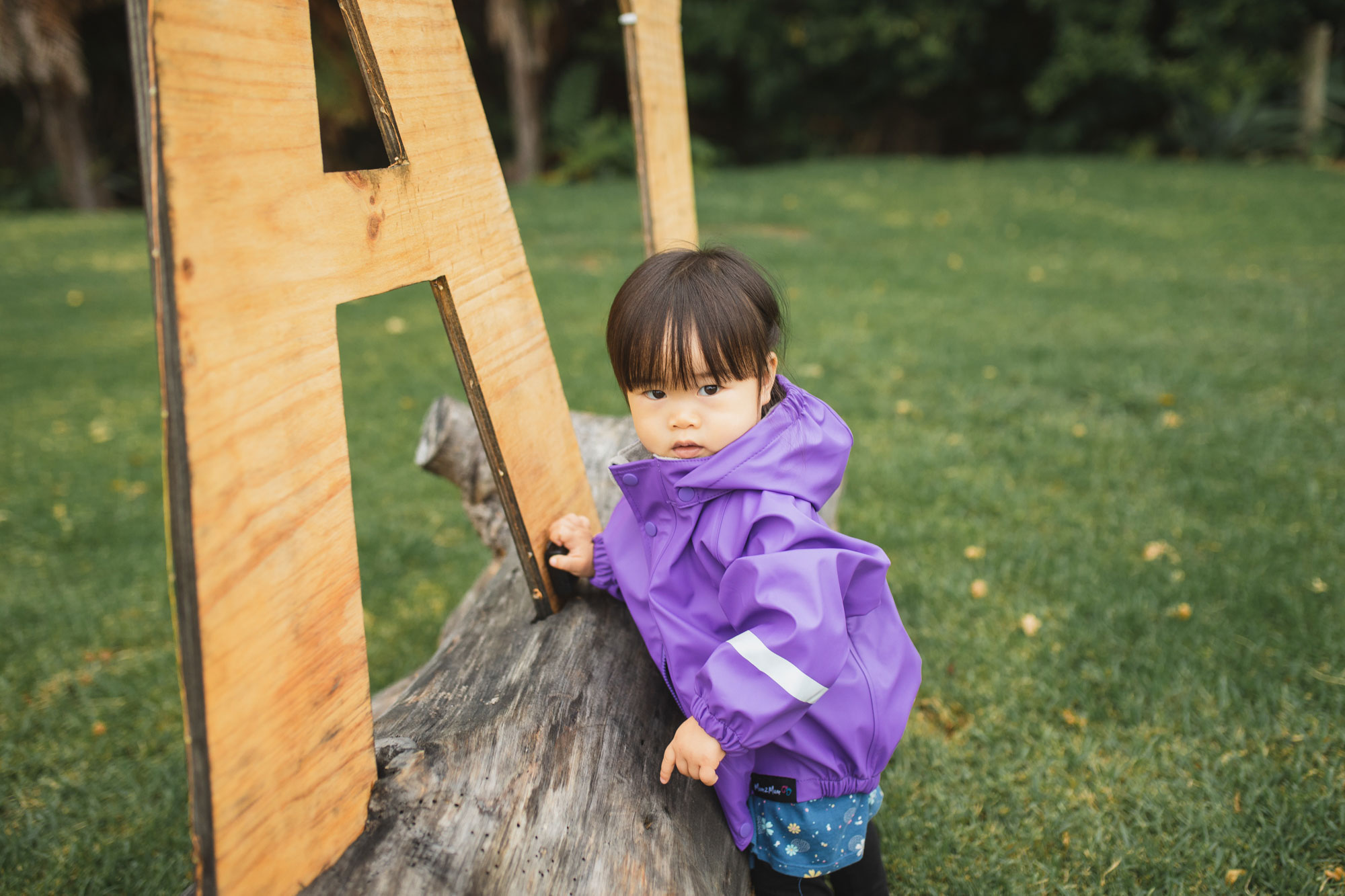 auckland waterfall farm wedding child