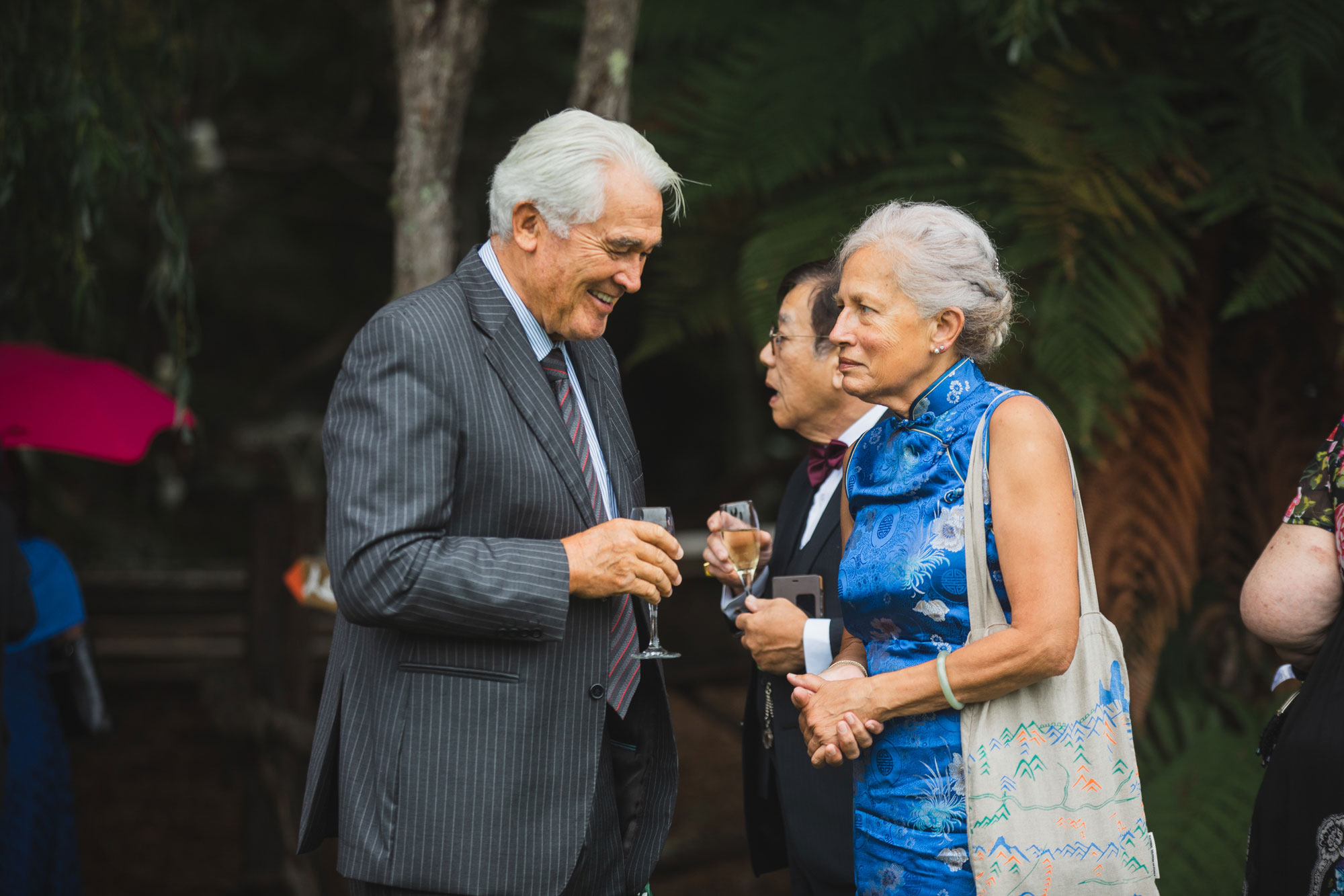 auckland waterfall farm wedding guests chatting