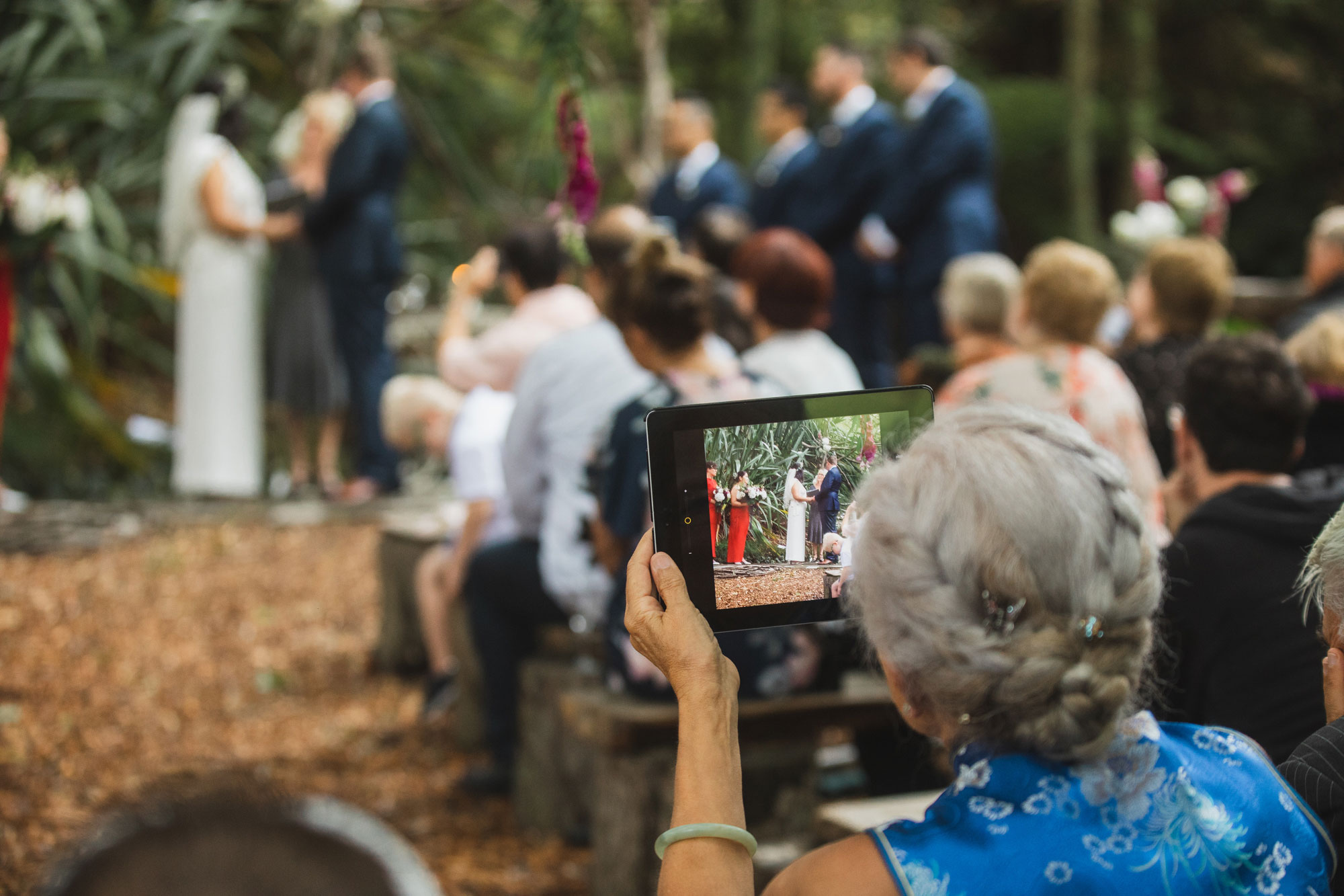 auckland waterfall farm wedding guest taking photo