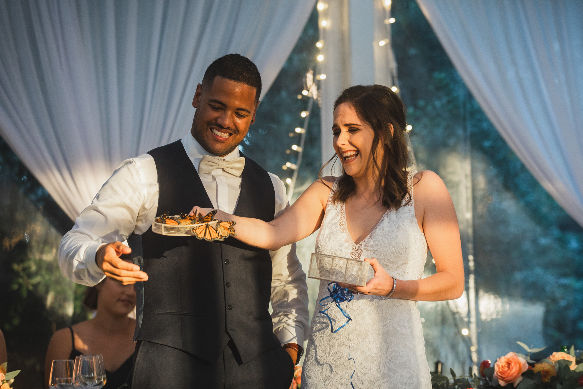 bride and groom butterflies