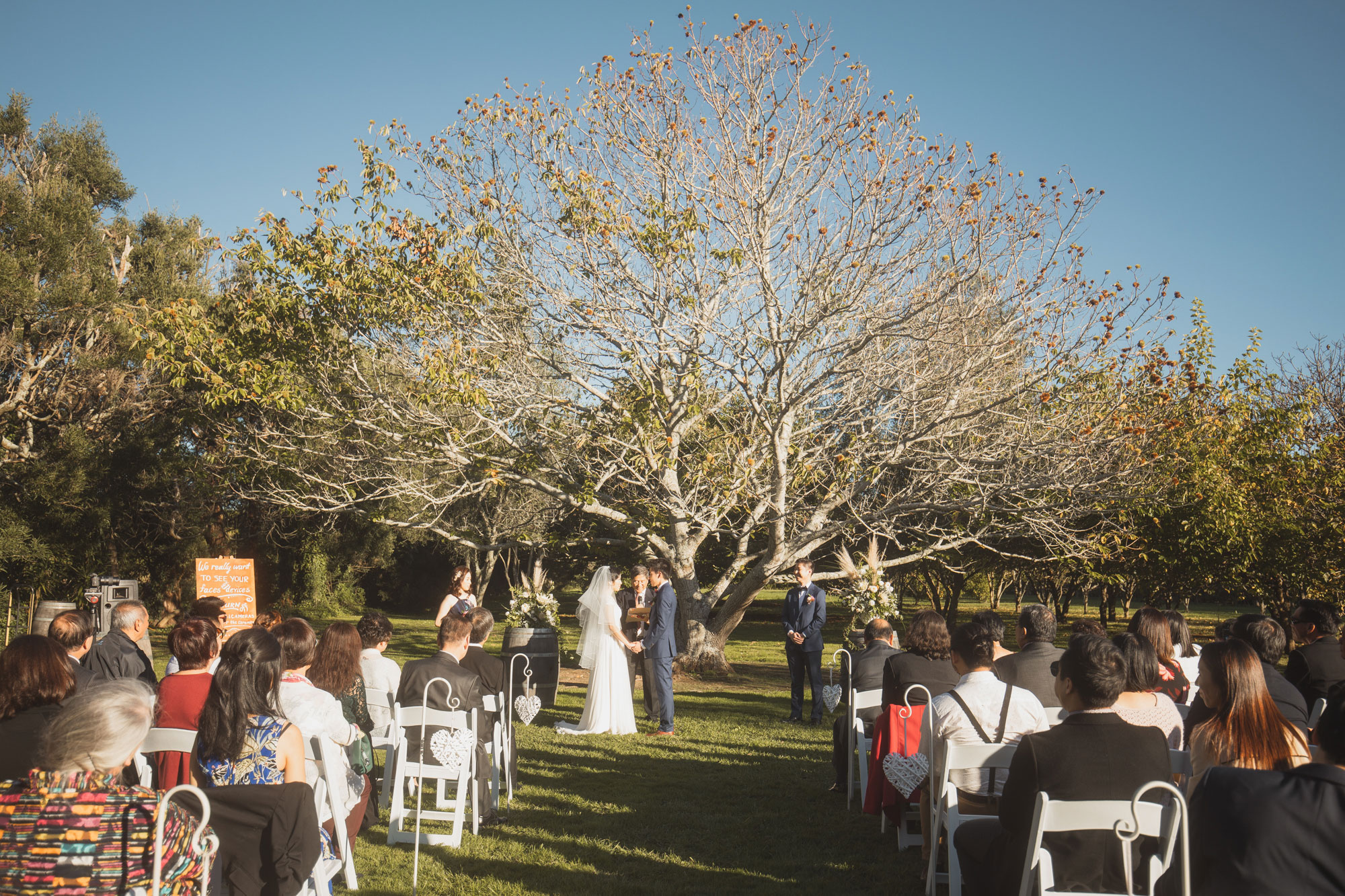 markovina vineyard estate wedding ceremony