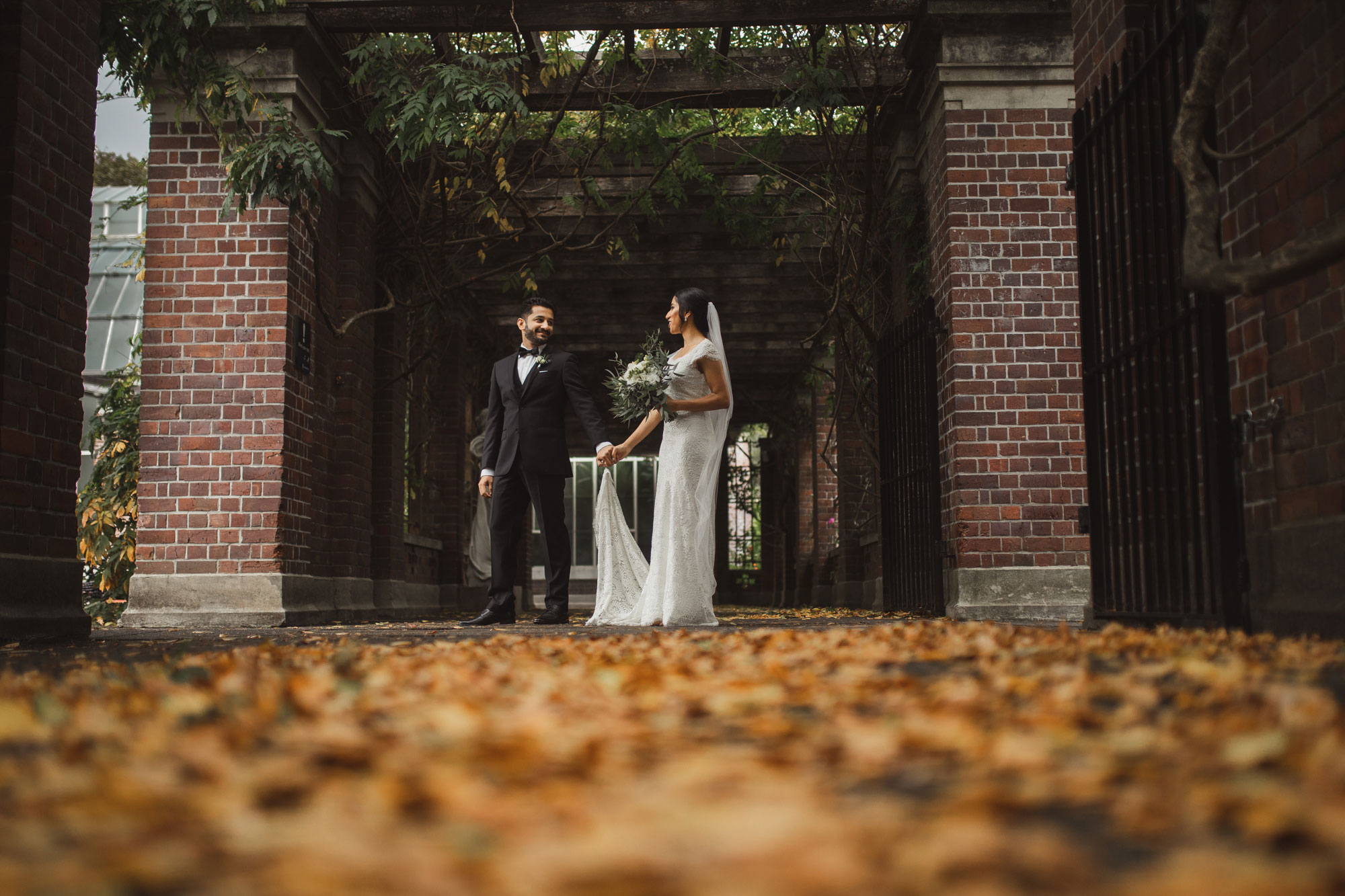 auckland domain couple shoot